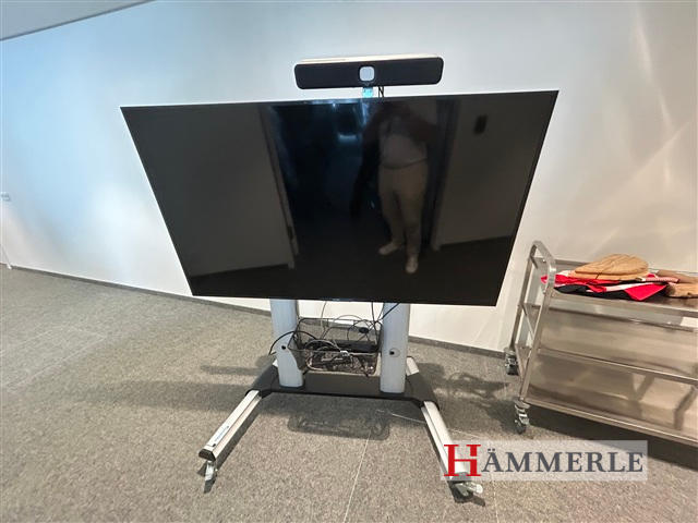 Videokonferenzsystem